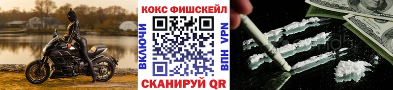 COCAIN Fish Scale  мега маркетплейс  Чехов 