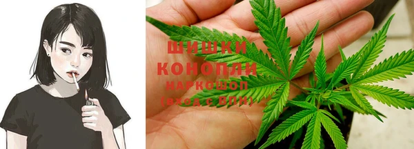 Альфа ПВП Горняк