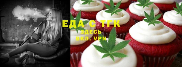 Альфа ПВП Горняк