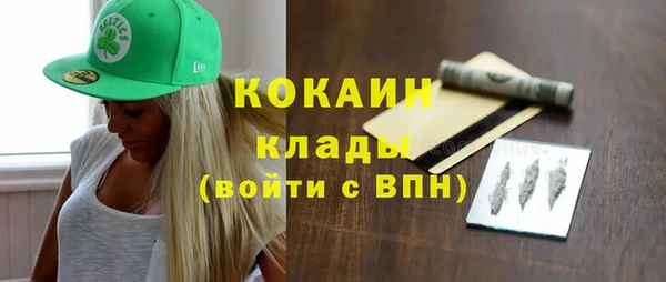 Альфа ПВП Горняк